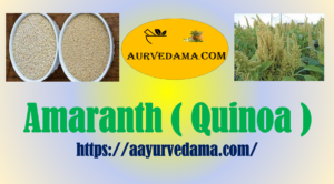 Amaranth ( Quinoa )