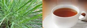 Herbal tea / Lemon grass