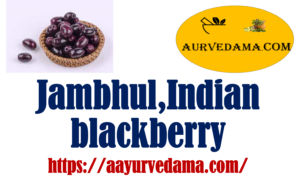 Jambhul,Indian blackberry