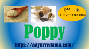 Poppy