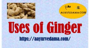 Uses of Ginger