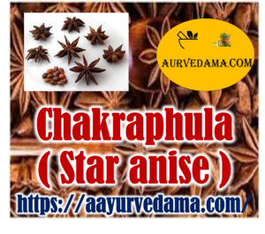 Chakraphula ( Star anise )