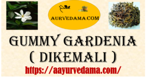 Gummy gardenia ( Dikemali )